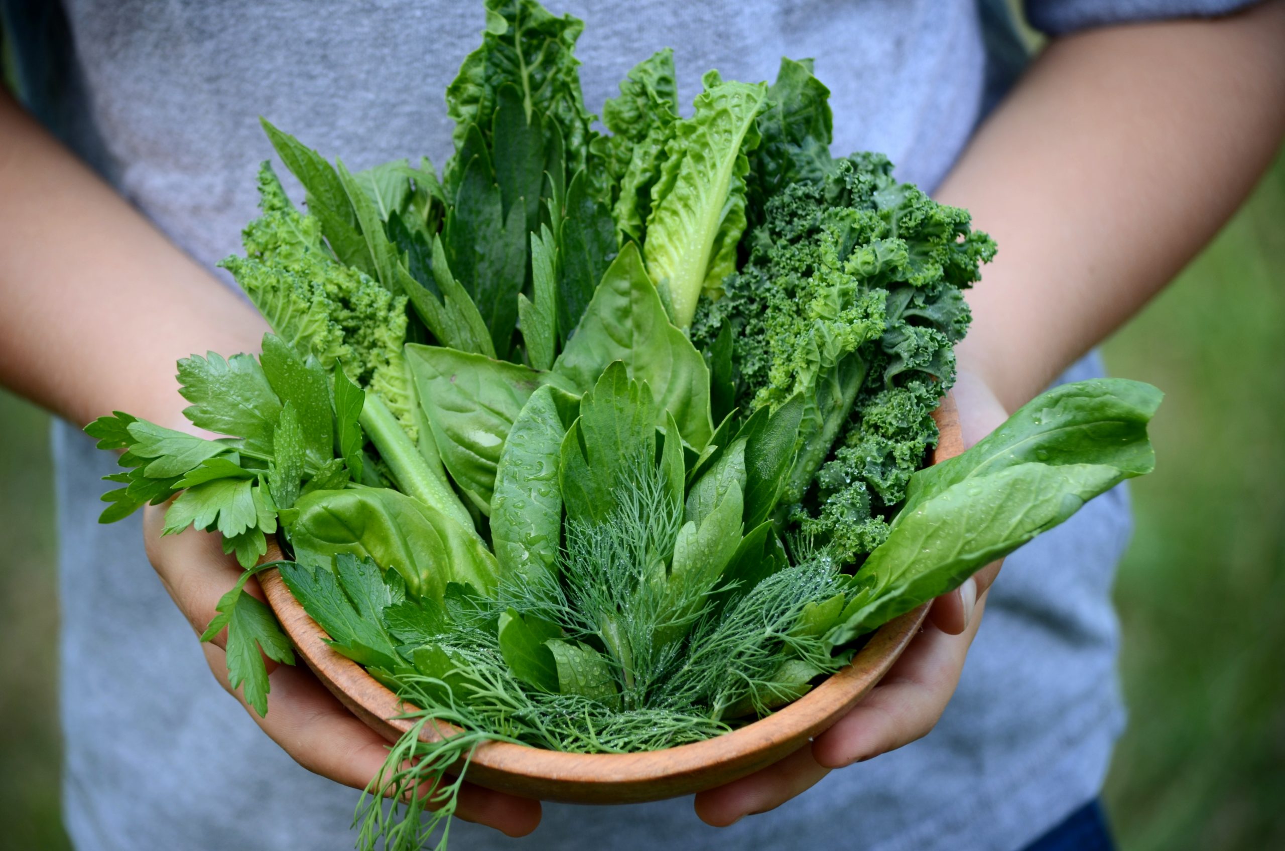 person holding bowl of greens