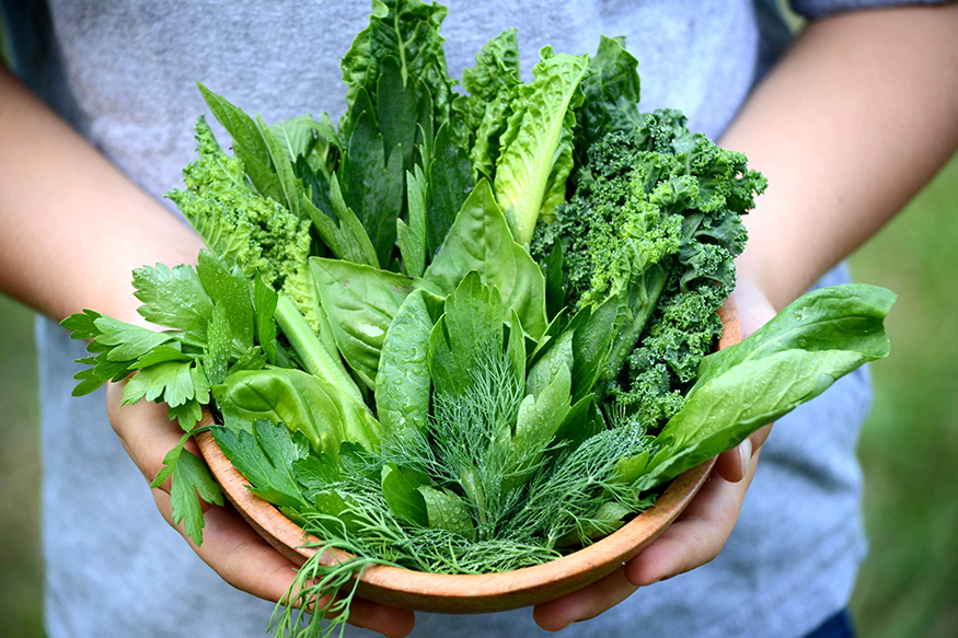 bowl of green leafy vegetables